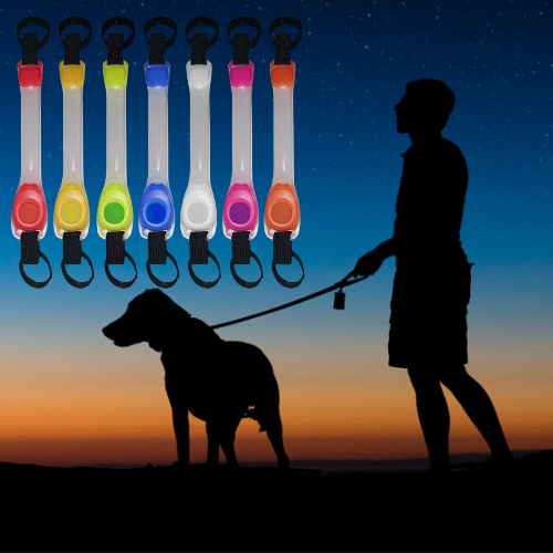 Pet Glowing Collar