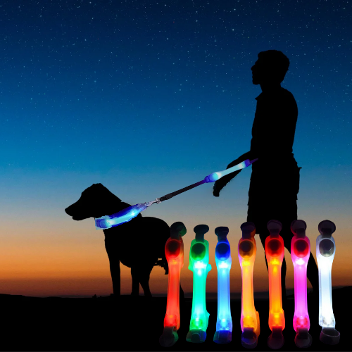 Pet Glowing Collar