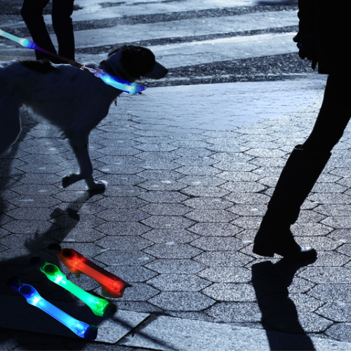 Pet Glowing Collar