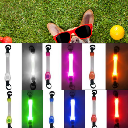 Pet Glowing Collar