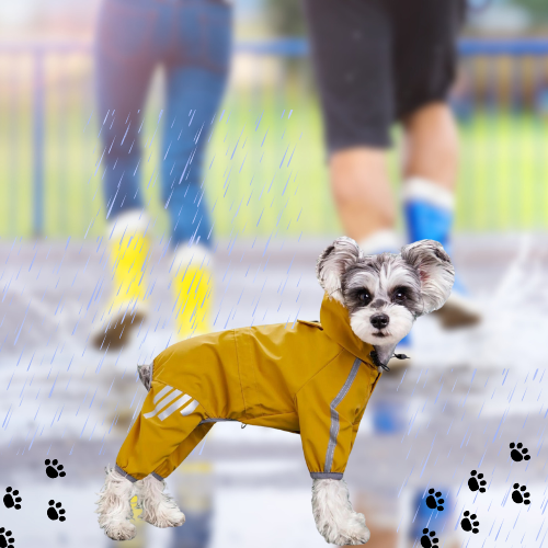 this jumpsuit offers ultimate protection on rainy days. Keep your pet comfortable and chic during outdoor adventures. Order now for a fashionable and functional raincoat for your beloved companion!