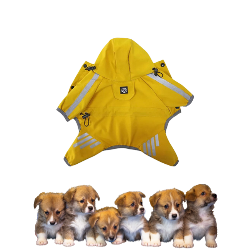 this jumpsuit offers ultimate protection on rainy days. Keep your pet comfortable and chic during outdoor adventures. Order now for a fashionable and functional raincoat for your beloved companion!