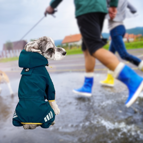 this jumpsuit offers ultimate protection on rainy days. Keep your pet comfortable and chic during outdoor adventures. Order now for a fashionable and functional raincoat for your beloved companion!