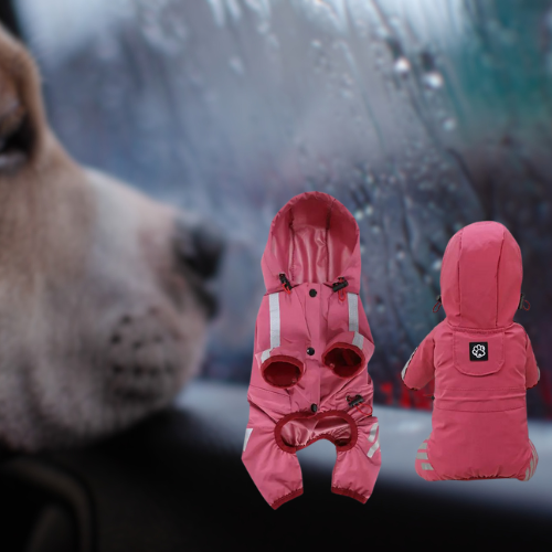 this jumpsuit offers ultimate protection on rainy days. Keep your pet comfortable and chic during outdoor adventures. Order now for a fashionable and functional raincoat for your beloved companion!