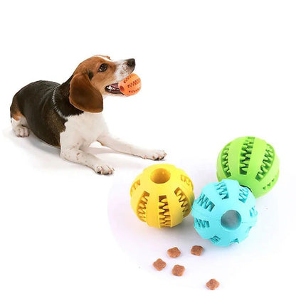 Elevate playtime with our durable and safe Dog Ball Toy for small dogs and puppies. Promote dental health and keep your furry friend entertained – the perfect interactive toy!