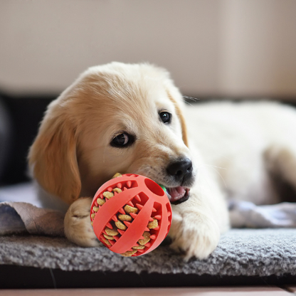 Elevate playtime with our durable and safe Dog Ball Toy for small dogs and puppies. Promote dental health and keep your furry friend entertained – the perfect interactive toy!